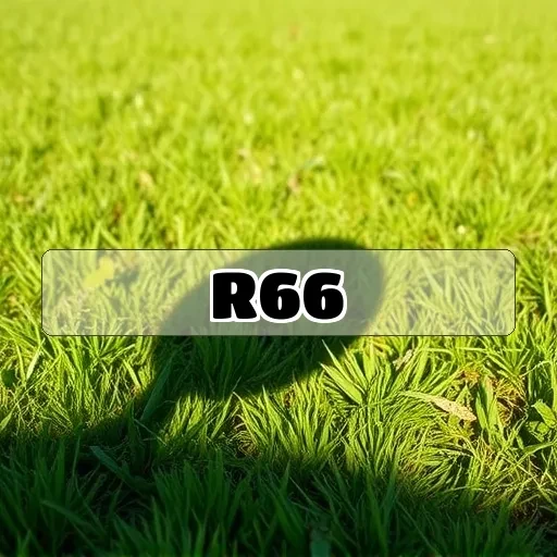 r66.com Bônus